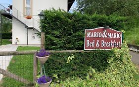 B&B Mario & Mario